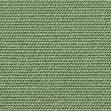 Basil color